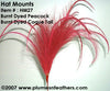 Hat Mount HM '27'