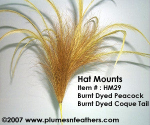 Hat Mount HM '29'