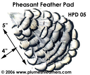 Hat Pad HPD '5'