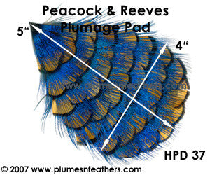 Hat Pad HPD '37'