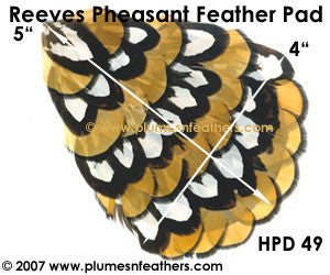 Hat Pad HPD '49'