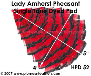 Hat Pad HPD '52'