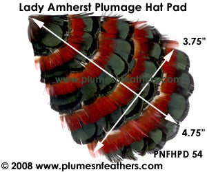 Hat Pad HPD '54'