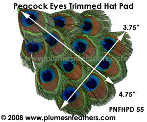 Hat Pad HPD '55'