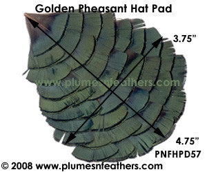 Hat Pad HPD '57'