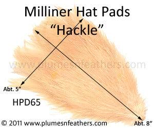 Hat Pad HPD '65'