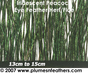 Peacock Herl Fringe 7"