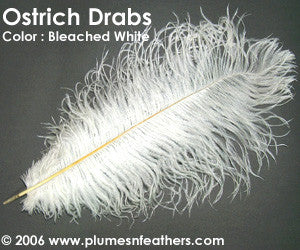Ostrich Drabs Dyed and Bleached White