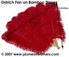 Ostrich Fan 27"
