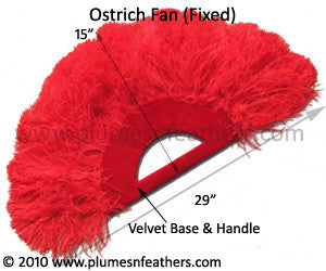 Ostrich Fan Fixed 22"