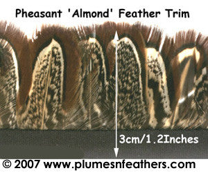 PH15 Pheasant Ringneck Fringe 0.5"