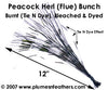 Burnt (TD) Peacock Bunch 12"