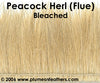 Peacock Herl (Flue) Bleached Strung 6"/8"