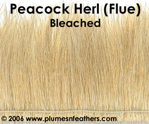 Peacock Herl (Flue) Strung 6"/8" ¼ Oz.