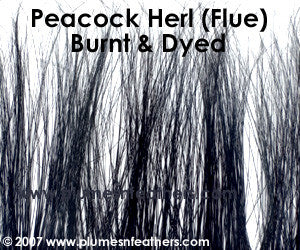 Peacock Herl (Flue) Burnt Dyed Strung 4"/6"