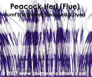 Peacock Herl (Flue) Burnt Tie N Dye Strung 6"/8"