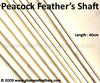 Stripped Peacock Feather Shaft 6.3