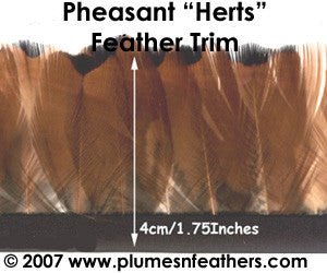 PH14 Pheasant Ringneck Fringe 1"