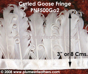 Curled Goose Feather Fringe