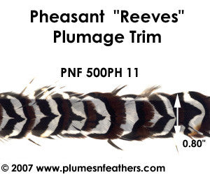 PH11 Pheasant Reeves Trim
