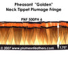 PH6 Pheasant Golden Fringe