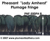 PH8 Pheasant L.Amherst Fringe