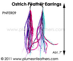 Feather Earrings PNFER09