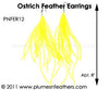 Feather Earrings PNFER12
