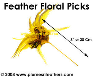 Feather Floral Pick PNFFP01