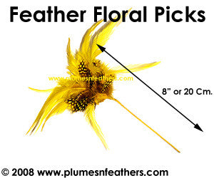 Floral Picks