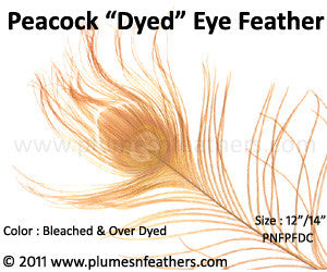 Dyed Peacock Eye Only (Cutmoon) 12"