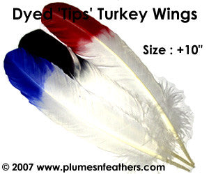 Turkey Quills -10" Dyed Tips Selected
