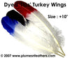 Turkey Quills 10"/14" Dyed Tips Selected