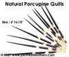 Nat. Porcupine Quill 7"