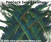 Nat. Peacock Swords 20"/30"