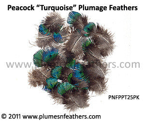 Turquoise Plumage (Iridescent) 25 Pcs.