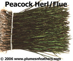 Peacock Herl (Flue) Strung 4"/6" ¼ Oz.