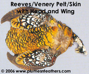 Reeves Venery Pelt (Skin)