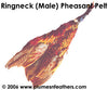 Ringneck Pelt (Skin)