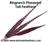 Ringneck Nat. Sidetail 16"/18"