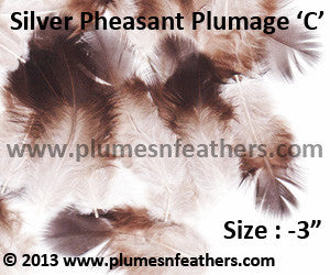 Silver Pheasant Plumage 3” Dn ‘C’ 25Pcs Pack