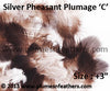 Silver Pheasant Plumage 3" Up ‘C’ 25Pcs Pack