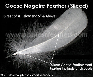 Sliced Goose Nagoires Strung Dyed 5" & Below ½ Oz.