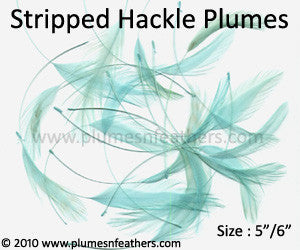 Coque Hackle Stripped Dyed Selected 6"/7"