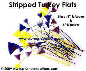 Stripped Turkey Flats 5" & Below