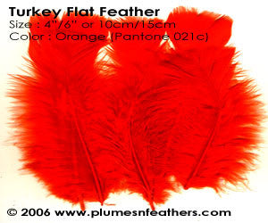 Turkey Flats 5" & Above Selected