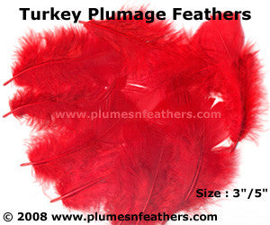 Turkey Plumage 3"/5" Dyed Selected