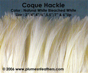 Bleached White Or Dyed Strung Hackle Feathers +5" ½ Oz.