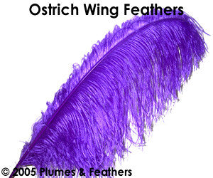 Ostrich Wing Dyed 22"/25"