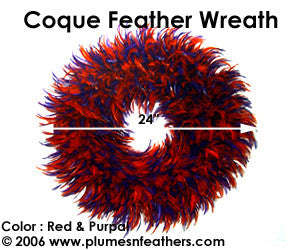 Feather Wreath Coque Saddle '4'